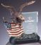 Picture of Bronze Finish Eagle Award w/ Flag & Crystal Plate (9½")